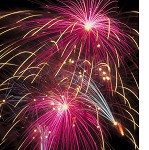 Forum Fireworks Tackle the Question: Who Is Qualified to Be a Patient Advocate?