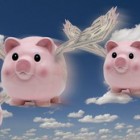 Why I Hope These Pigs Never Fly - and You Should, Too